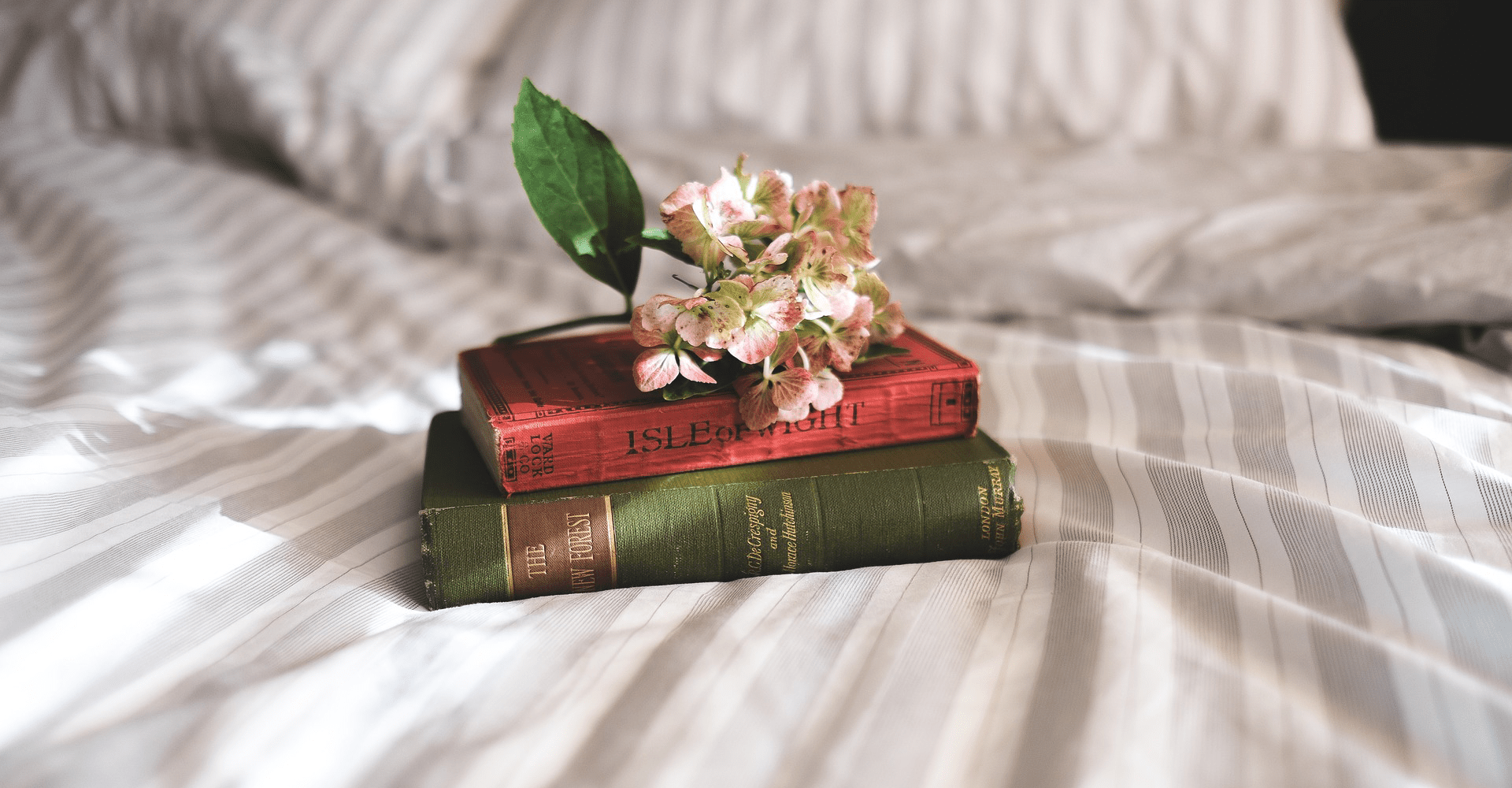 Lectrice pressée ou lectrice passionnée?