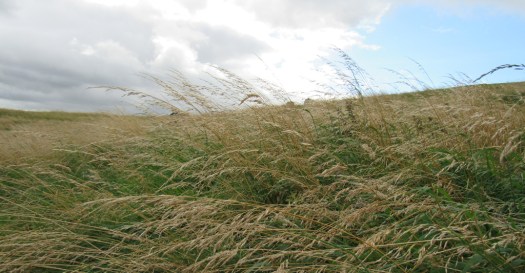 L'Écosse, le pays des aventures